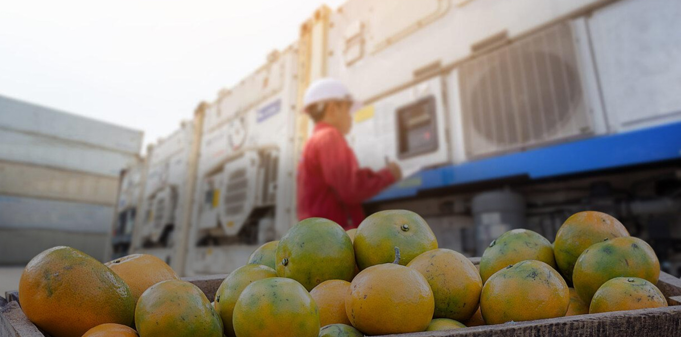 Reefer Container Renting Services in Sri Lanka